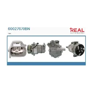 REAL 60027670BN