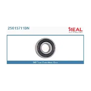 REAL 25613711BN