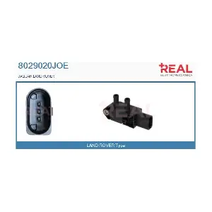 8029020JOE REAL