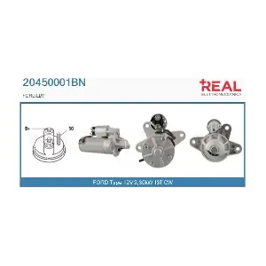 REAL 20450001BN