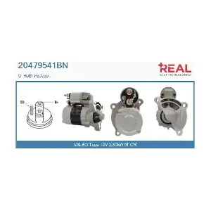 REAL 20479541BN