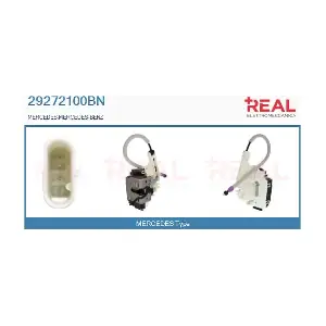 29272100BN REAL