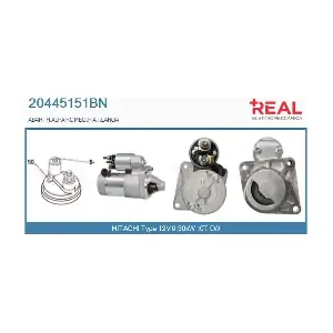 REAL 20445151BN