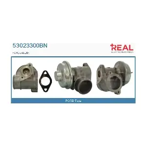 REAL 53023300BN