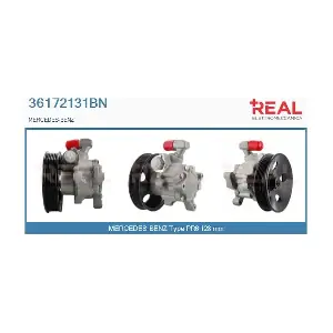 36172131BN REAL