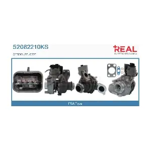 52082210KS REAL
