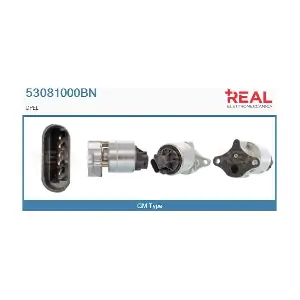 REAL 53081000BN