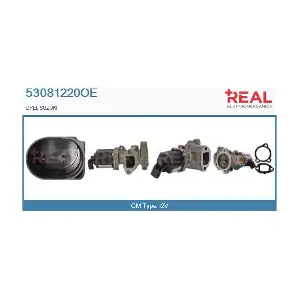 53081220OE REAL