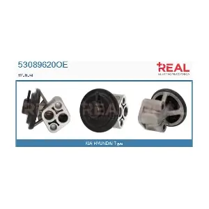 53089620OE REAL