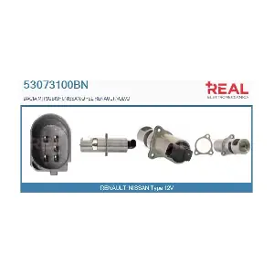 REAL 53073100BN