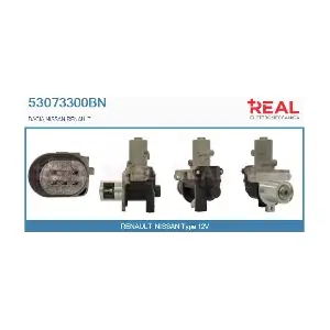 REAL 53073300BN
