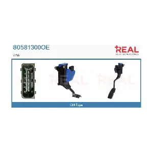 80581300OE REAL