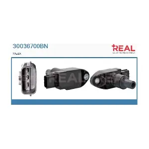 30036700BN REAL