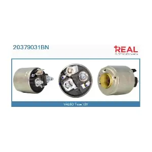 REAL 20379031BN
