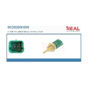 8028260HBN REAL