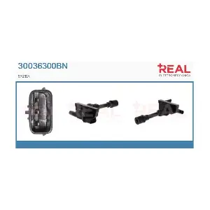 REAL 30036300BN