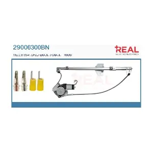 29006300BN REAL