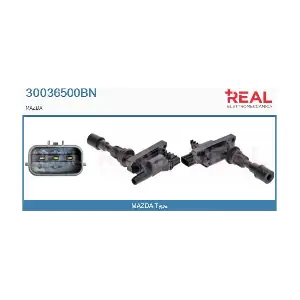 REAL 30036500BN