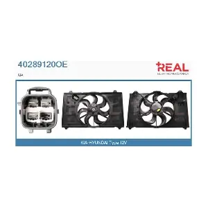 40289120OE REAL