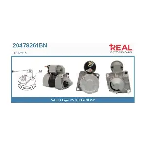 REAL 20479261BN