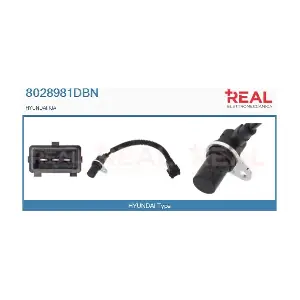 8028981DBN REAL