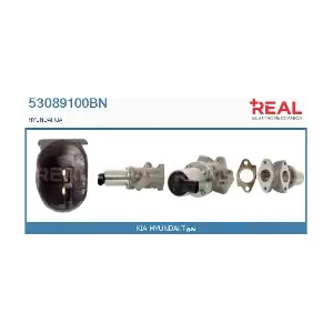 53089100BN REAL