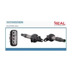 30090600BN REAL