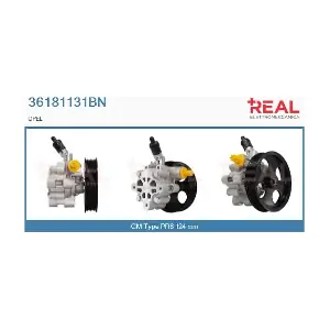 REAL 36181131BN