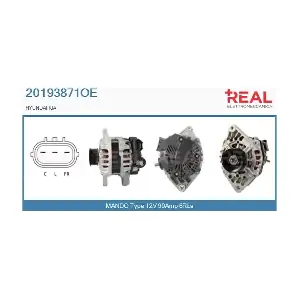 20193871OE REAL
