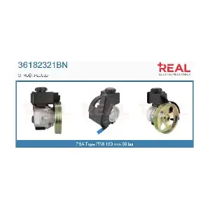 REAL 36182321BN