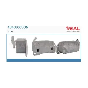 REAL 40430000BN