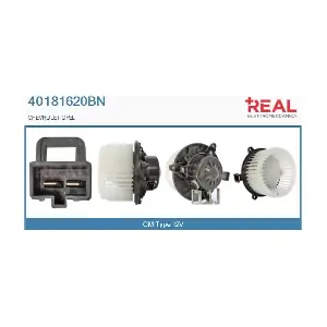 40181620BN REAL