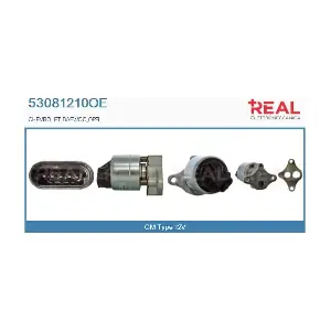 53081210OE REAL