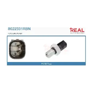 8022331RBN REAL