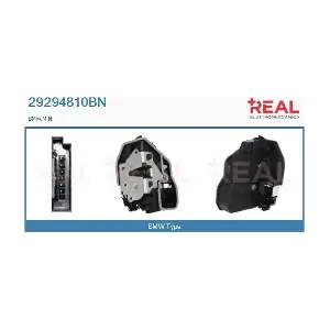 29294810BN REAL