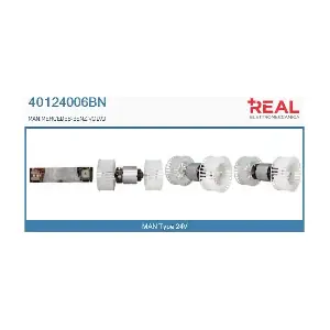 40124006BN REAL