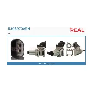 53089700BN REAL