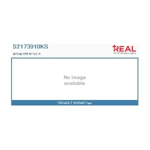52173910KS REAL