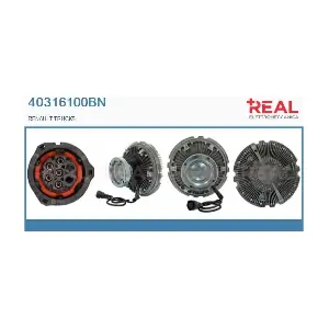 40316100BN REAL