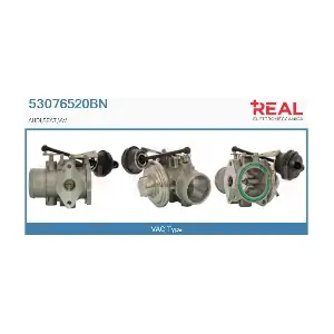 REAL 53076520BN