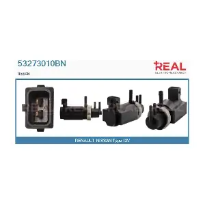 53273010BN REAL