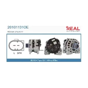 REAL 20101131OE