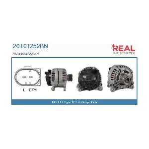 REAL 20101252BN