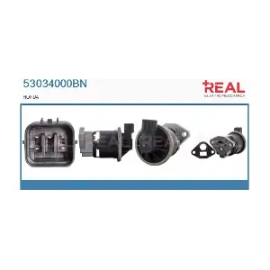 53034000BN REAL