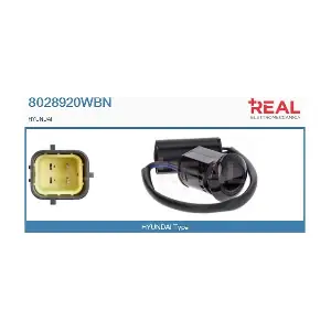 REAL 8028920WBN