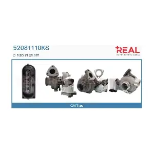 52081110KS REAL