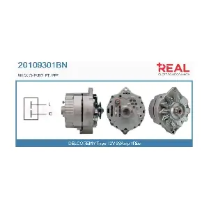 REAL 20109301BN