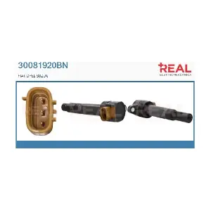 REAL 30081920BN