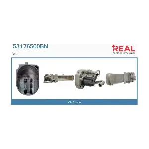 53176500BN REAL
