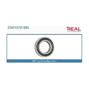 25613701BN REAL